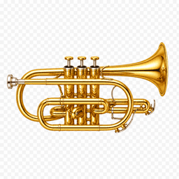 Cornet & flugelhorn